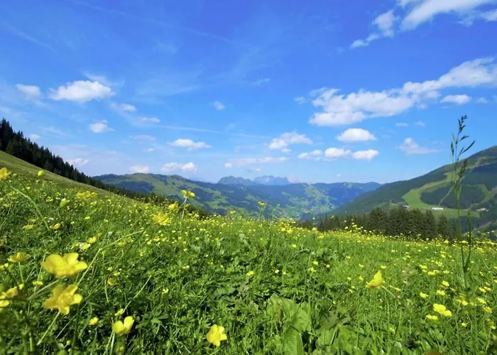 Apartment In Saalbach Hinterglemm Near Ski Area