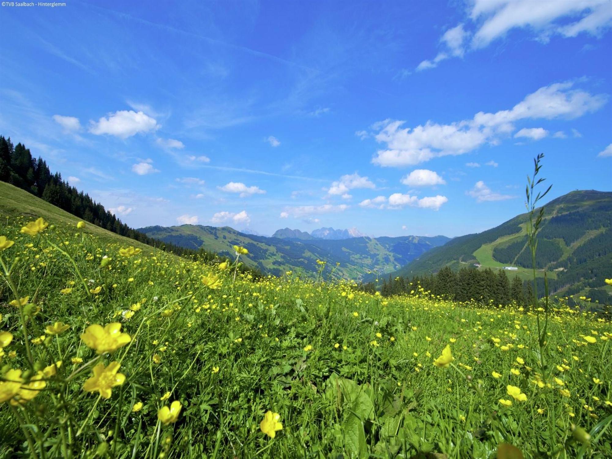 In Hinterglemm Near Area Apartment Saalbach