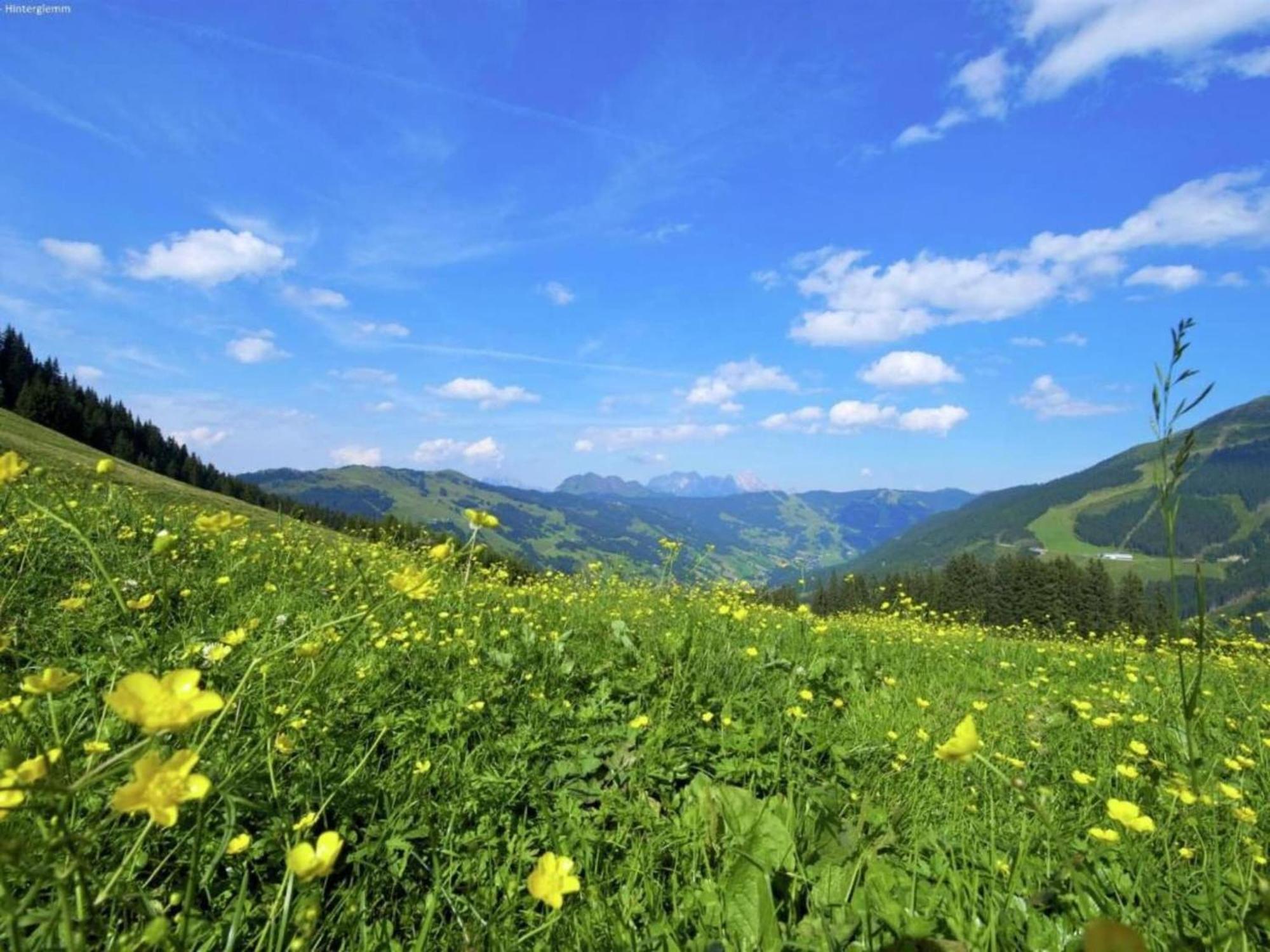 Apartment In Hinterglemm Near Area *