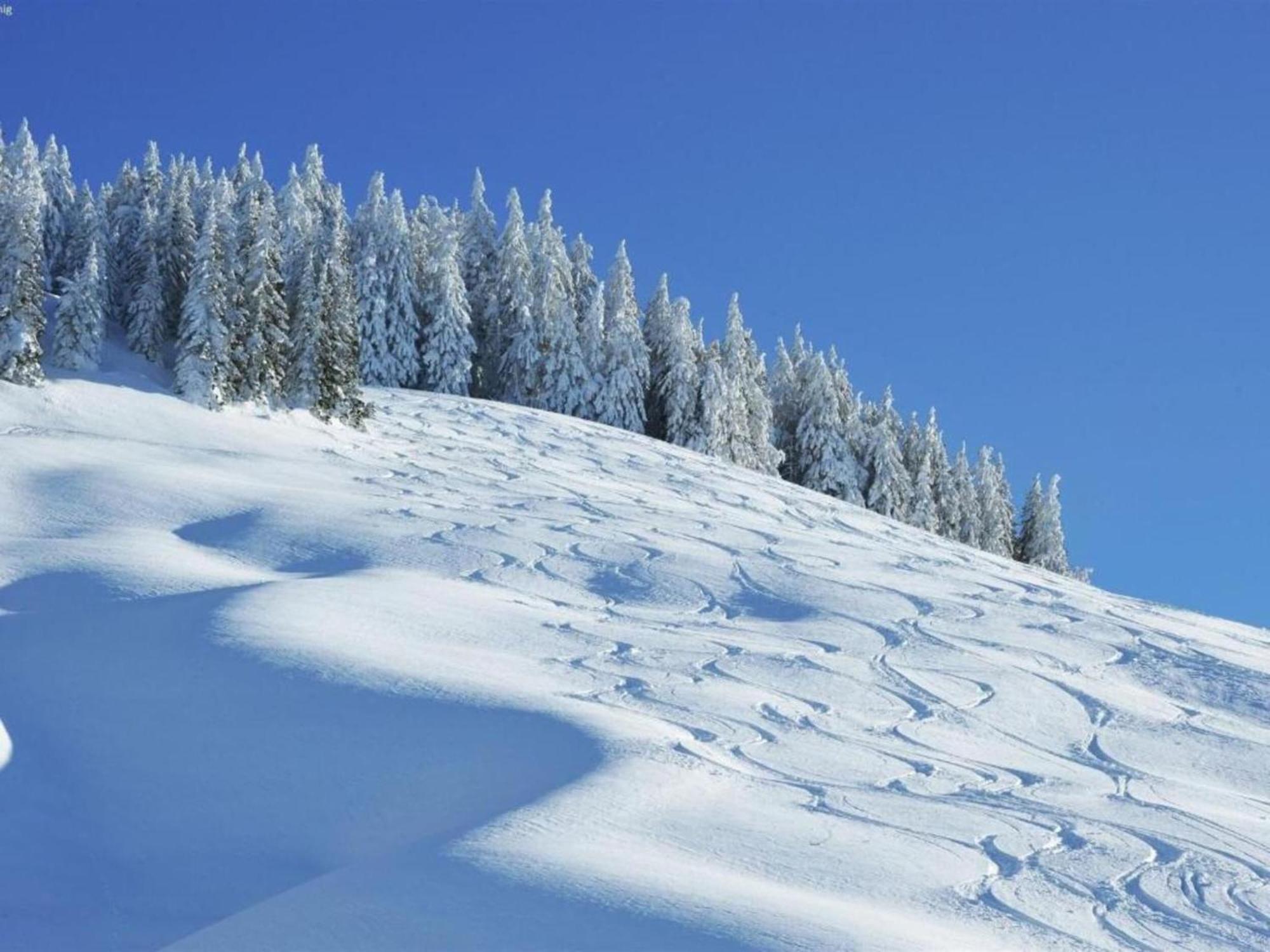 In Hinterglemm Near Area