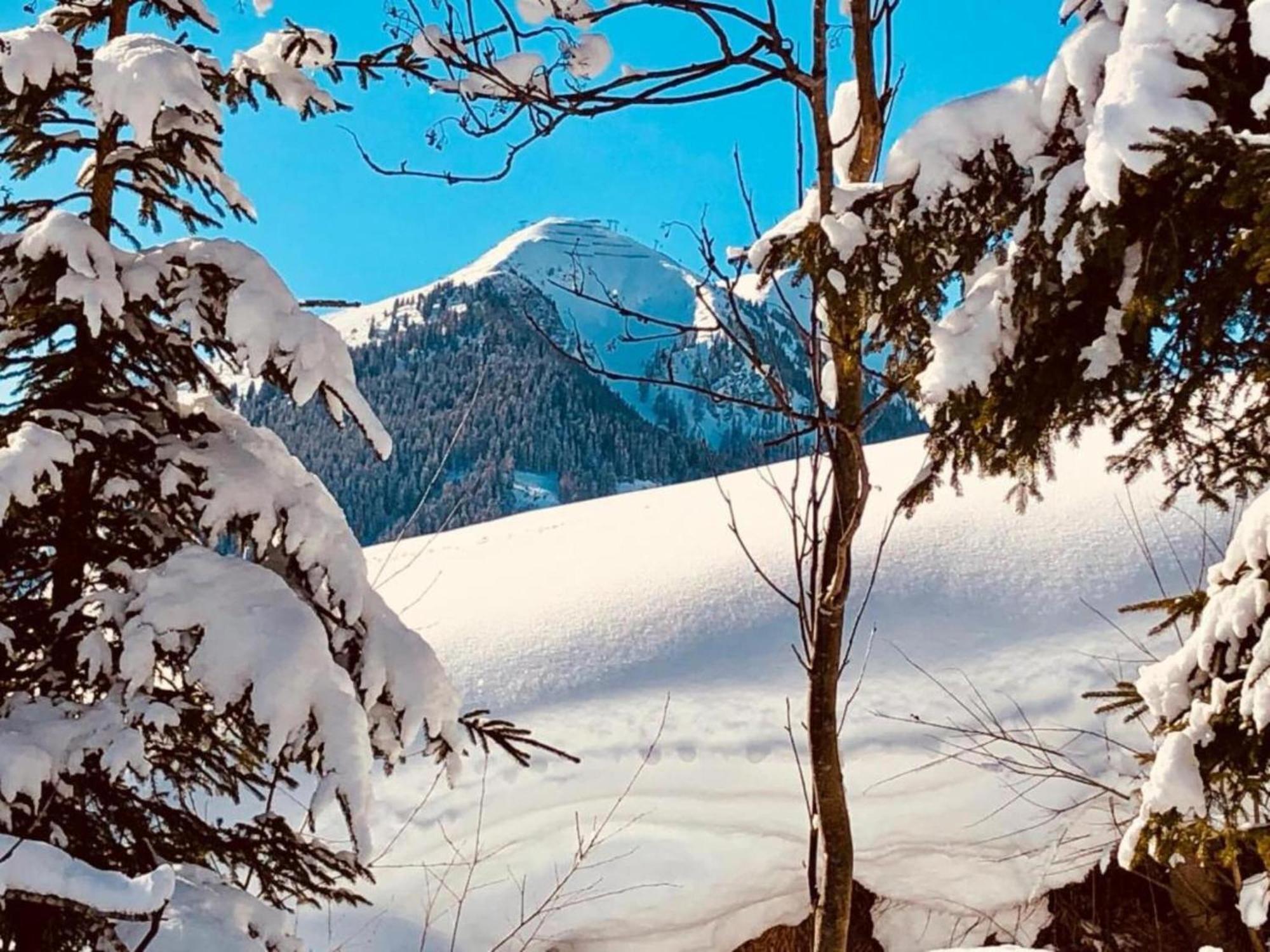 In Hinterglemm Near Area Apartment Saalbach-Hinterglemm