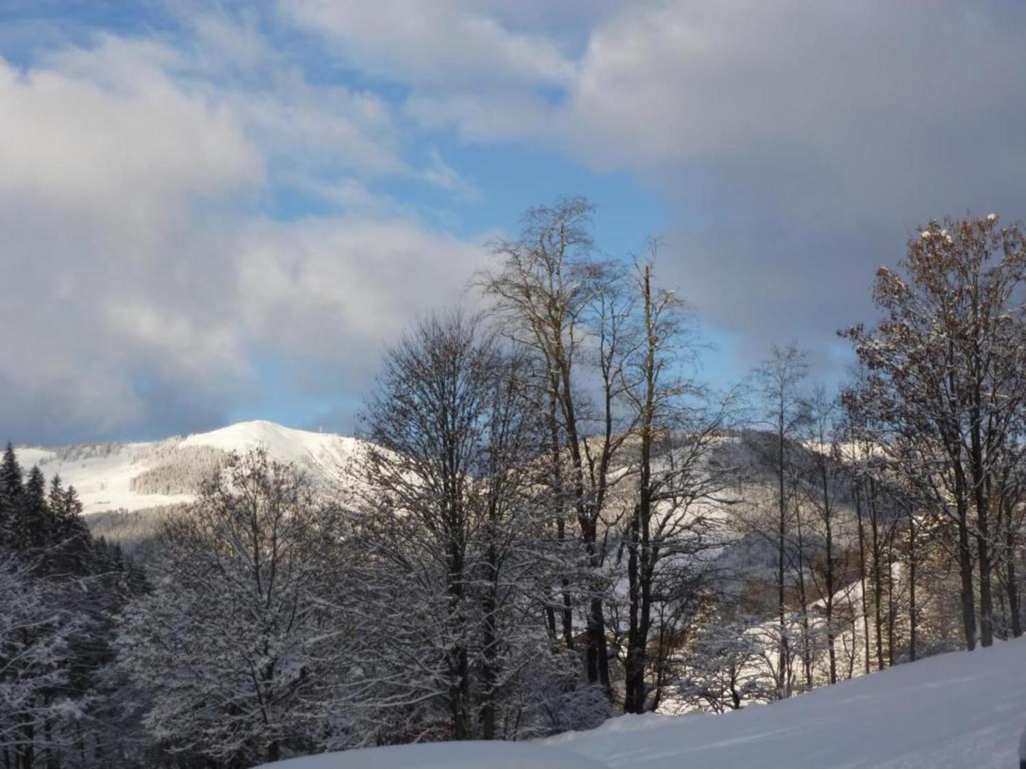 In Hinterglemm Near Area *